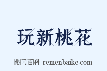 玩新桃花是什么意思的图片